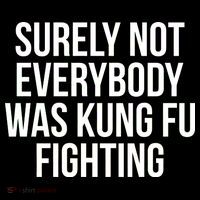 Surely Not Everybody was Kung FU Fighting Sweatshirt