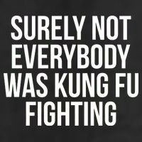Surely Not Everybody was Kung FU Fighting Microfiber Hand Towel