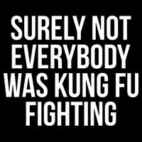 Surely Not Everybody was Kung FU Fighting Kids Sweatshirt