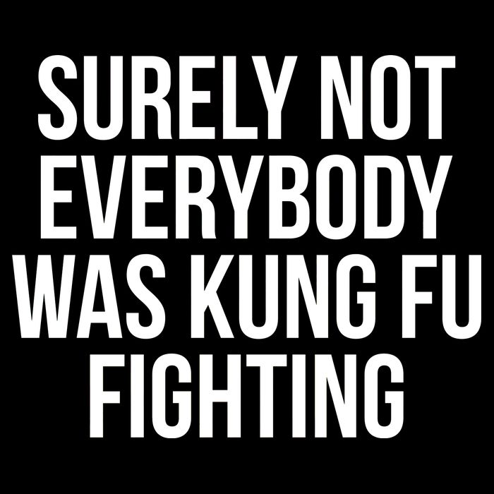 Surely Not Everybody was Kung FU Fighting Kids Sweatshirt