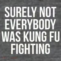 Surely Not Everybody was Kung FU Fighting Magnet