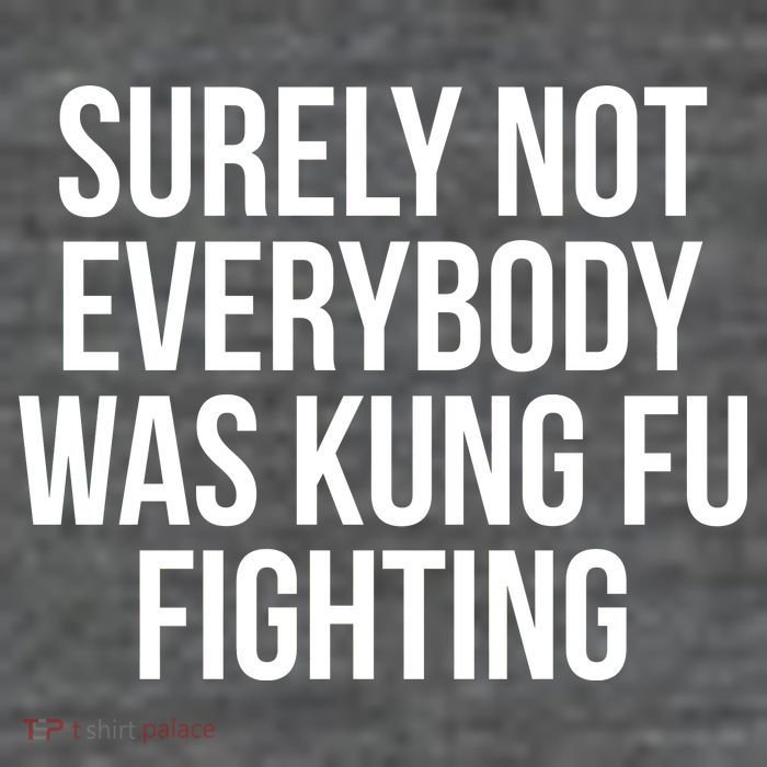 Surely Not Everybody was Kung FU Fighting Kids T-Shirt