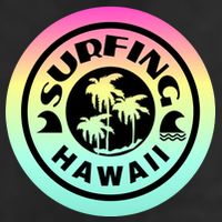 Surfing Hawaii Logo Adult Drive Performance Visor