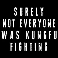 Surley Not Everyone Was Kungfu Fighting Funny Meme T-Shirt