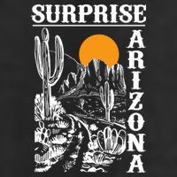Surprise Arizona Adult Drive Performance Visor