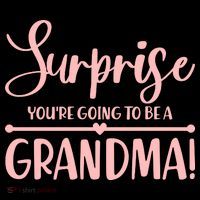 Surprise You're Going to Be A Grandma! 16 in Basic Backpack