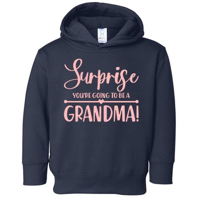 Surprise You're Going to Be A Grandma! Toddler Hoodie