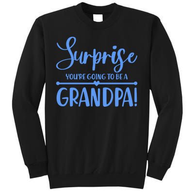 Surprise You're Going To Be A Grandpa! Sweatshirt