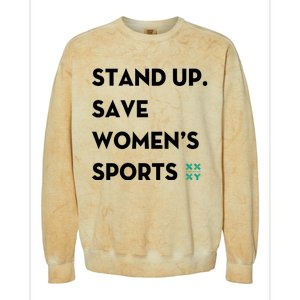 Stand Up Save Sports Colorblast Crewneck Sweatshirt