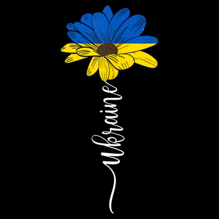 Support Ukraine Sunflower Toddler Hoodie