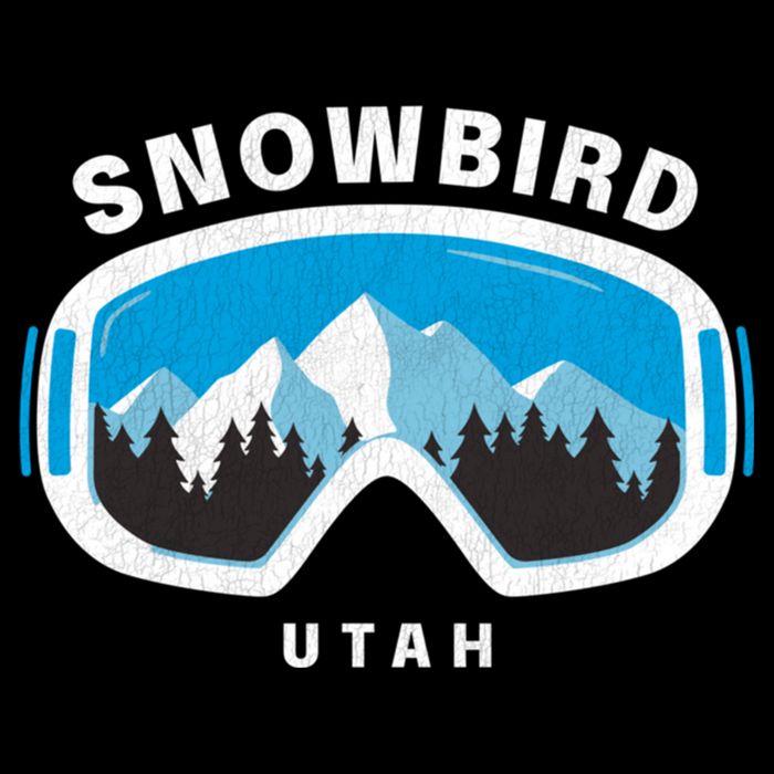 Snowbird Utah Ski Snowboard Goggles Snow Mountain Bucket Hat