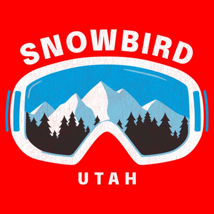 Snowbird Utah Ski Snowboard Goggles Snow Mountain Kids Hoodie