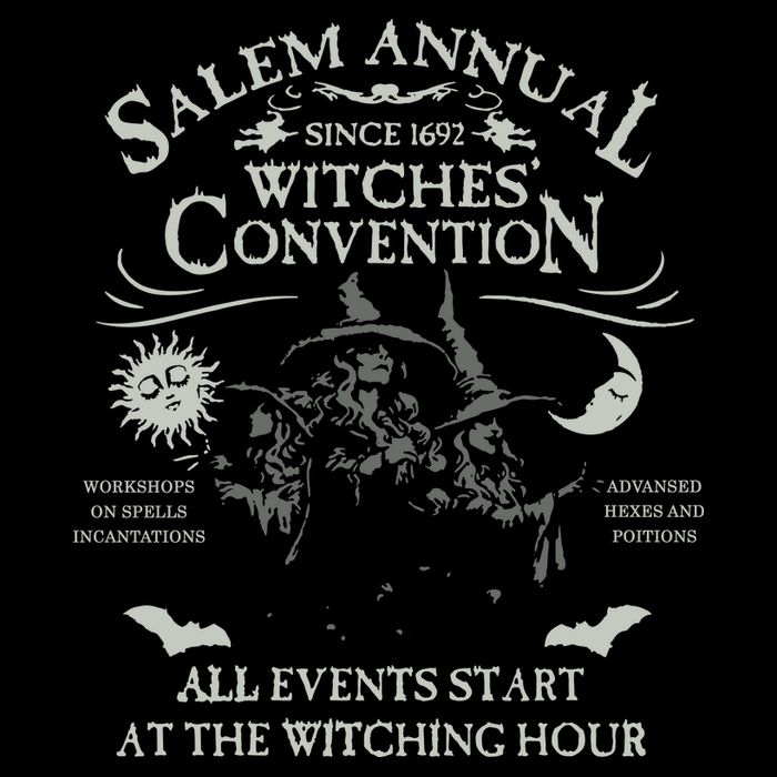 Salem University Sweater Salem Massachusetts T-Shirt