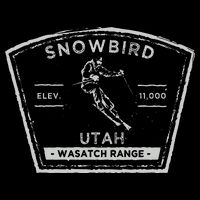 Snowbird Utah Snow Skiing Cooling Performance Crew T-Shirt