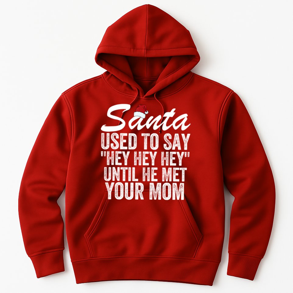 Santa Used To Say Hey Hey Hey Until He Met Your Mom Hoodie