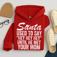 Santa Used To Say Hey Hey Hey Until He Met Your Mom Hoodie