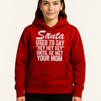 Santa Used To Say Hey Hey Hey Until He Met Your Mom Hoodie