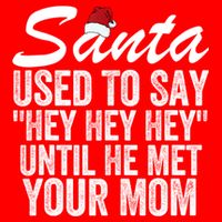 Santa Used To Say Hey Hey Hey Until He Met Your Mom Hoodie