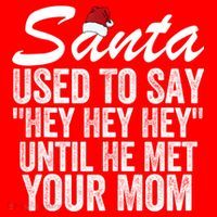 Santa Used To Say Hey Hey Hey Until He Met Your Mom Womens T-Shirt