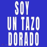 Soy Un Tazo Dorado Magnet
