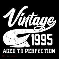 Sporty Vintage 1995 Aged To Perfection 30th Birthday Tall T-Shirt