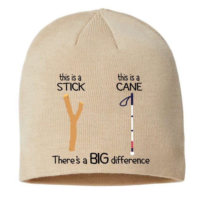 Stick Vs Cane TVI White Cane Awareness Blind Sustainable Beanie