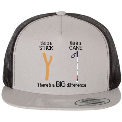 Stick Vs Cane TVI White Cane Awareness Blind Flat Bill Trucker Hat