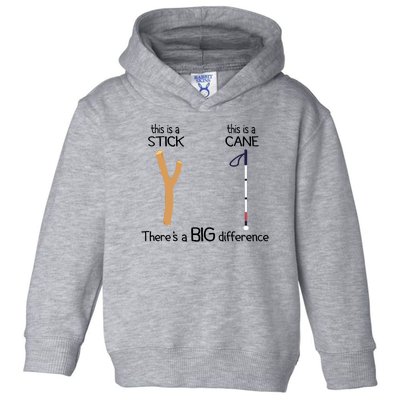 Stick Vs Cane TVI White Cane Awareness Blind Toddler Hoodie