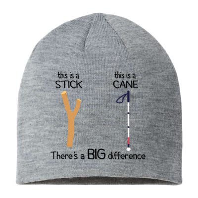 Stick Vs Cane TVI White Cane Awareness Blind Sustainable Beanie