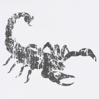 Scorpion Vintage Design Distressed Scorpion Print Womens Tank Top