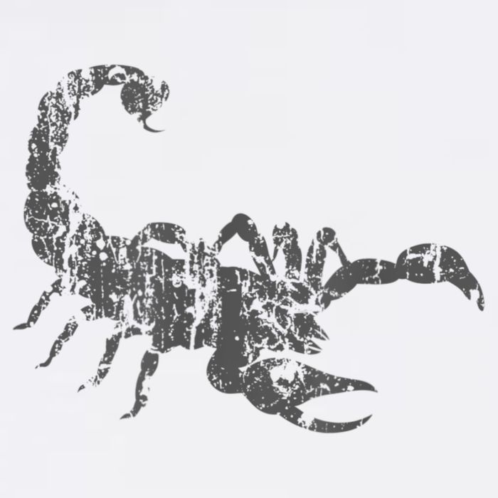 Scorpion Vintage Design Distressed Scorpion Print Womens Tank Top