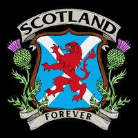 Scottish Vintage Flag Scotland Womens T-Shirt