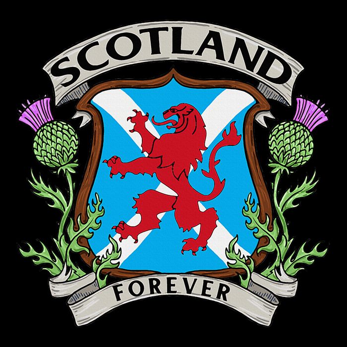 Scottish Vintage Flag Scotland Womens T-Shirt