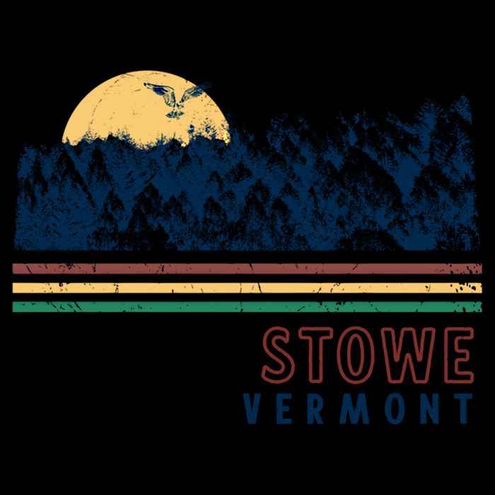 Stowe Vermont Hiking Skiing Retro Cool Gift Youth Performance Sprint T-Shirt