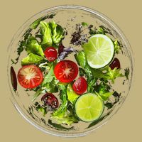 Saladkit Vegetable Motif Illustration Salad Kit T-Shirt