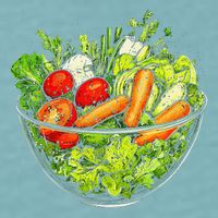Saladkit Vegetable Motif Illustration Salad Kit Sueded Cloud Jersey T-Shirt
