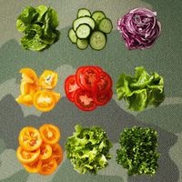 Saladkit Vegetable Motif Garden Saladkit Legacy Tie Dye Trucker Hat