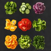 Saladkit Vegetable Motif Garden Saladkit Trucker Hat