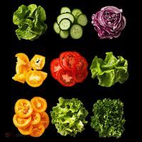 Saladkit Vegetable Motif Garden Saladkit Womens T-Shirt