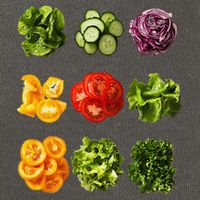 Saladkit Vegetable Motif Garden Saladkit Cotton Canvas Backpack