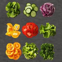 Saladkit Vegetable Motif Garden Saladkit Vector Backpack