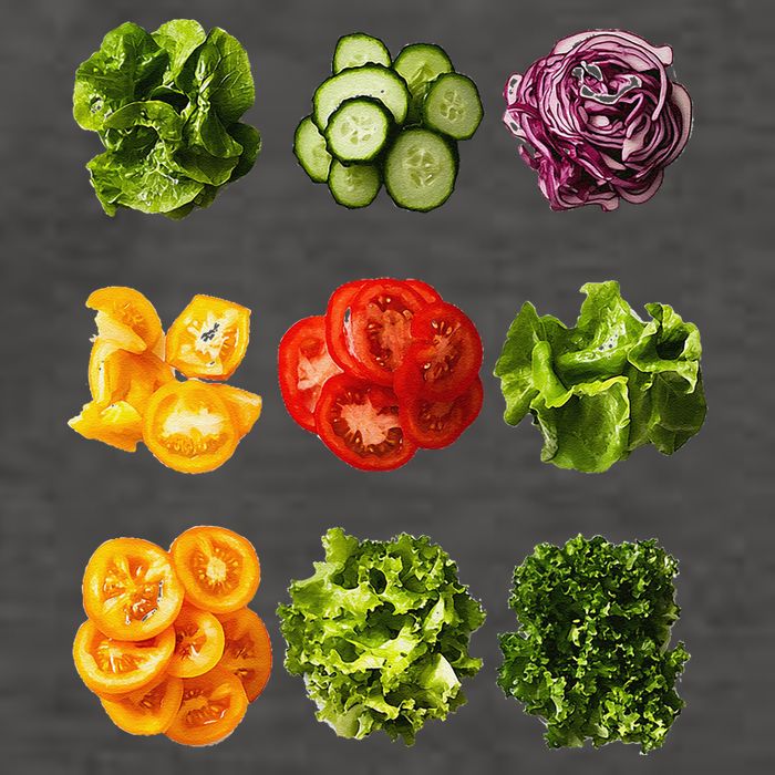 Saladkit Vegetable Motif Garden Saladkit Vector Backpack