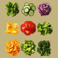 Saladkit Vegetable Motif Garden Saladkit Button