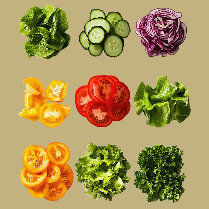 Saladkit Vegetable Motif Garden Saladkit Button