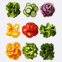 Saladkit Vegetable Motif Garden Saladkit Garment-Dyed Sweatshirt