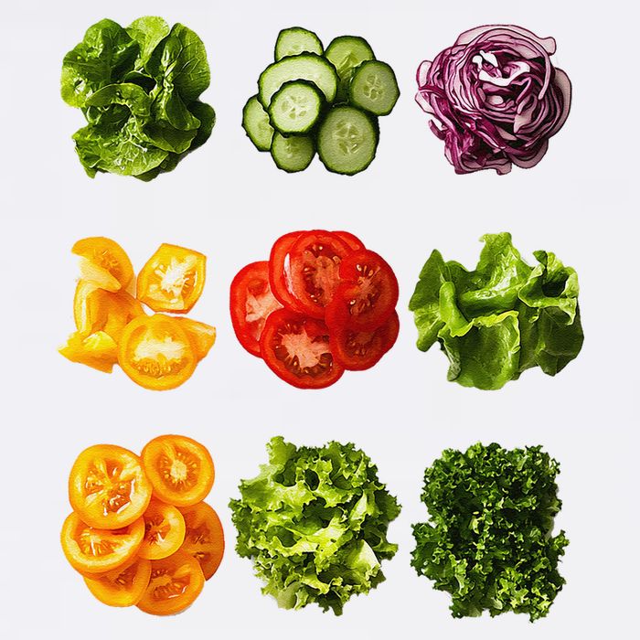 Saladkit Vegetable Motif Garden Saladkit Garment-Dyed Sweatshirt