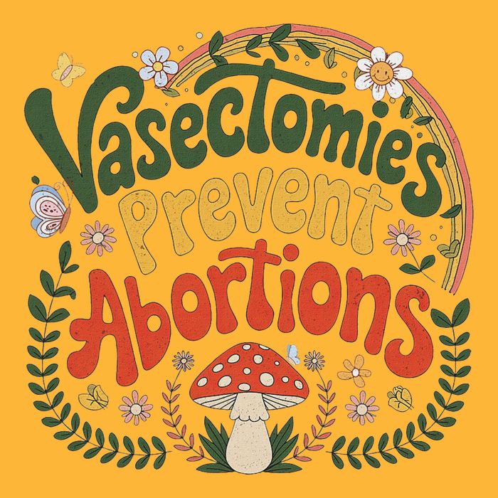 Sunset Vasectomies Prevent Abortions Vasectomy Pom Pom 12in Knit Beanie