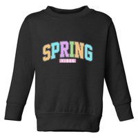 Spring Vibes Retro Varsity Toddler Sweatshirt