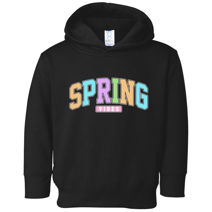 Spring Vibes Retro Varsity Toddler Hoodie