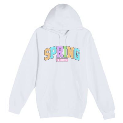 Spring Vibes Retro Varsity Premium Pullover Hoodie